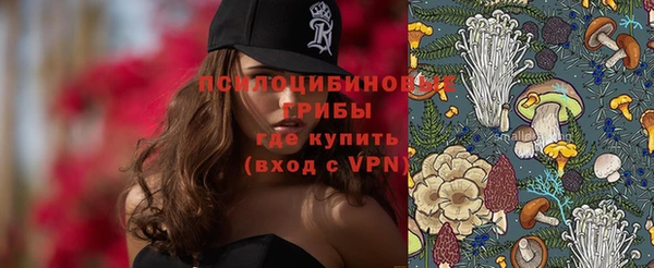 гидропоника Горнозаводск