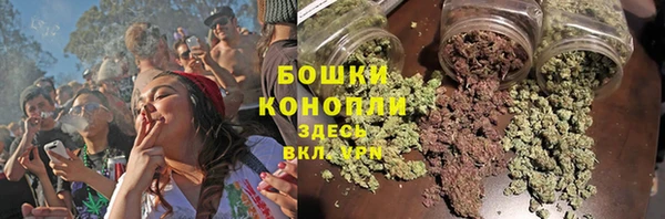 мяу мяу мука Горно-Алтайск
