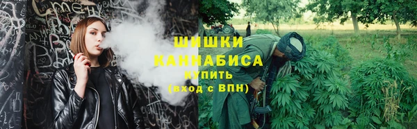 мяу мяу мука Горно-Алтайск