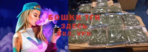 гидропоника Горнозаводск
