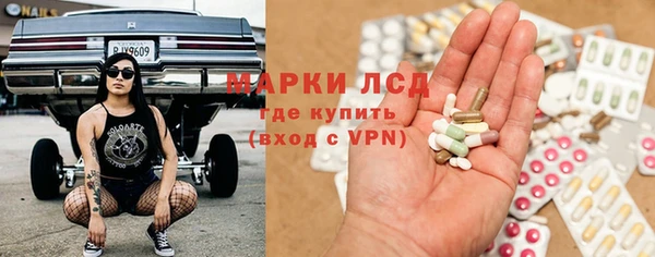 мяу мяу мука Горно-Алтайск
