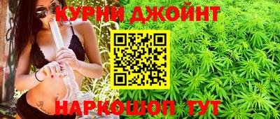 сатива Кингисепп