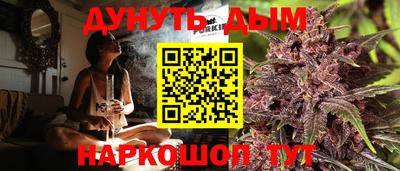 сатива Кингисепп