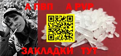 сатива Кингисепп