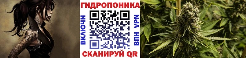 Бошки Шишки конопля  МЕГА онион  Красноперекопск  закладка 
